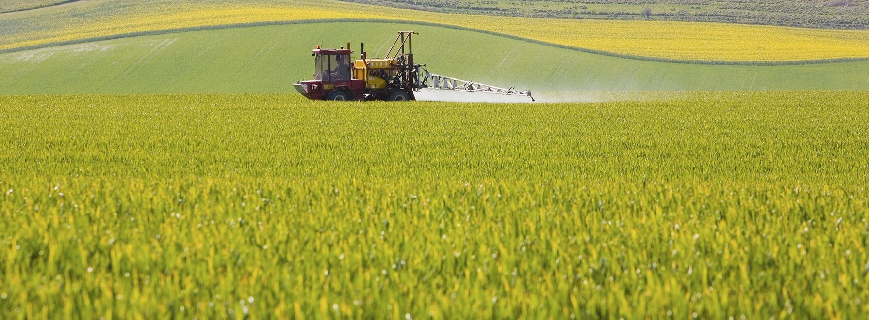 Spraying oilseed rape (2)